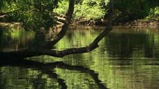 Somewhere to The East-2 - Videoclip.bg