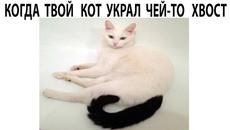 Мемы 2022 - Videoclip.bg