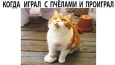 Мемы 2022 - Videoclip.bg