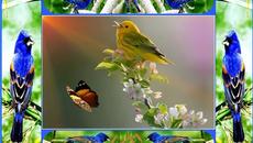 Климатични промени с Гугъл! Ден на Земята 22.04.2022 г. - Enya ~ Caribbean Blue - Videoclip.bg