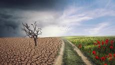 Какви са причините за промените в климата - Ден на Земята Climate Change Google Doodle 2022 Earth Day - Videoclip.bg