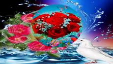 Un fiore per te (Instrumental ) - Videoclip.bg