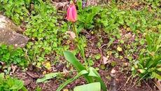 Пролет В Равда малко преди Великден 2022 - Videoclip.bg