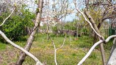 Пролет В Равда малко преди Великден 2022 - Videoclip.bg