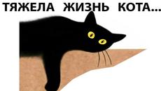 Мемы 2022 ( Про100 мемы и приколы с котами ) выпуск 353 - Тяжела жизнь кота - Videoclip.bg