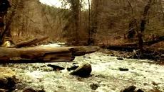 Zdravko Čolić - Zvao sam je Emili (Official lyric video) - Videoclip.bg