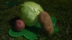 Ден на Свети Патрик (St. Patrick's Day) 2014 - Традиционна Ирландска Песен за Децата! - Videoclip.bg