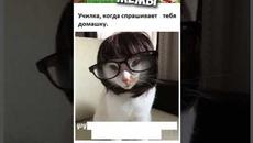 Мемы 2022 ( Тут Про100 мемы и короткие приколы с котами ) Подборка мемов 378 - Лучшие Мемы дня - Videoclip.bg