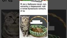 Мемы 2022 Выпуск 384 - Videoclip.bg