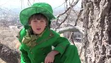 Денят на Свети Патрик за Ирландия ! Saint Patricks Day and The Story of St. Patrick - Videoclip.bg