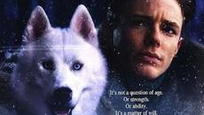 Железният Уил  1994 (Приключенски) / Филми БГ аудио - Videoclip.bg