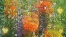 Доброе Утречко Хорошего Дня! Мира и добра☀️Красивое пожелание с добрым утром! - Videoclip.bg