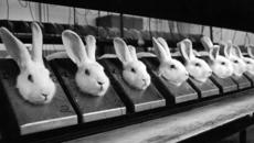 Arch Enemy - Жестокост без красота - Videoclip.bg