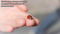 Q5 - Come And Gone - BG субтитри - Videoclip.bg