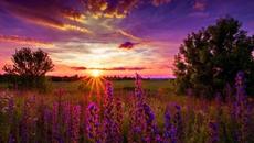 Жеги и Дъжд! До 36 градуса днес, от утре захлаждане и валежи - Videoclip.bg