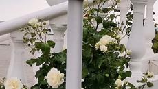 Расслабляющая музыка и Божественная красота природы... - Videoclip.bg