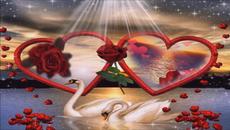 A rose for you - The Winner Takes It All (Instrumental Version)ABBA - Videoclip.bg