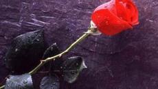 James Last & Gheorghe Zamfir - Videoclip.bg