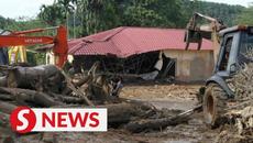 Baling flood victims: Durian plantation project caused water surge - Videoclip.bg