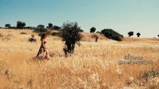 Sofia Arvaniti - Panselinos | Official Music Video (HD) - Videoclip.bg