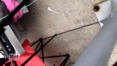 Shots Fired Near Little League Baseball Game - Videoclip.bg