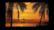 Нощ, море ,пясък и страст...! - Videoclip.bg