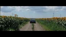 Nikola Rokvić - Leptiru moj (Official Video 2022) - Videoclip.bg