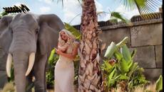 Χριστίνα Θεωνά - Έρωτας & Απόσταση - любов - разстояние - Videoclip.bg