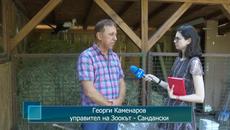 Ранен щъркел е приютен в Зоокът - Сандански - Videoclip.bg