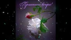 Добрый  вечер!   Наталия  Власова   -   Что  это  значит - Videoclip.bg