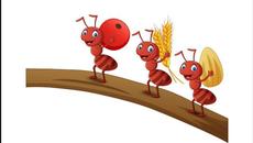 Баба Мравка си Почива.Весело Детско Стихче - Videoclip.bg