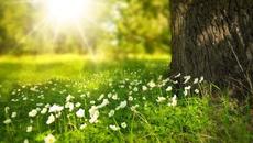 Yспокаивающая музыка для нервов - лечебная музыка для сердца и сосудов, релакс, музыка для души - Videoclip.bg