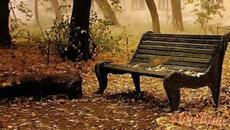 ЕСЕН ДОЙДЕ ПЕЯТ ЖЪЛТИТЕ ЛИСТА - Videoclip.bg