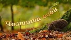 Есен ни зове - Здравей първа есен с песничка - Videoclip.bg