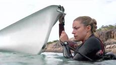 „Рифът: Преследвани“ (2022) – трилър, II част - Videoclip.bg