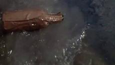 Little Shop of Horrors Intro Song - Videoclip.bg