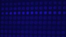 Trevor and The Joneses - A Familiar Way (music video) - Videoclip.bg