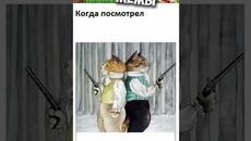 Мемы и Приколы с Животными #коты #кошки #собаки #животные - Videoclip.bg