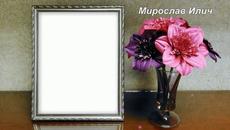 Мирослав Илич- Volecu te do kraja zivota - Videoclip.bg