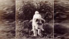 Rapt - None Of This Will Matter (2020) (Full Album) - Videoclip.bg