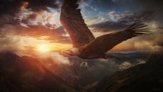 Есен е, приятелко, отново (Стихове) - Videoclip.bg