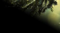 А вънка блести...(Стихове) - Videoclip.bg