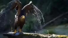 Leo Rojas - Flying Heart - Videoclip.bg