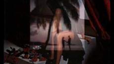 СНЕЖАНА БАБИЋ СНЕКИ - СРЦЕ ГОРИ ЈЕР ТЕ ВОЛИ - Videoclip.bg