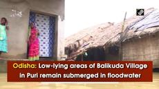 Low-lying areas of Odisha village in Puri remain submerged in floodwater - Videoclip.bg