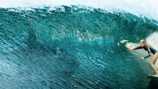 Опасни води в плитчините - The Shallows (2016) Movie HD - Videoclip.bg