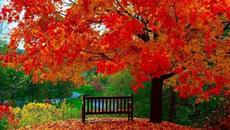 ПАВЕЛ СОКОЛОВ  -  СКОРО ОСЕНЬ, ГОСПОДА... - Videoclip.bg