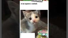 #мем #мемы2022 #приколы #мемы  #короткиеприколы #юмор #коты - Videoclip.bg