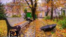 Деня ОГОНЬ - Листья жёлтые - Videoclip.bg