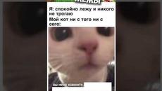 #приколы #лютыеприколы #мемы #мем #мемы2022 #юмор #мемчики  #мемыпро100 - Videoclip.bg